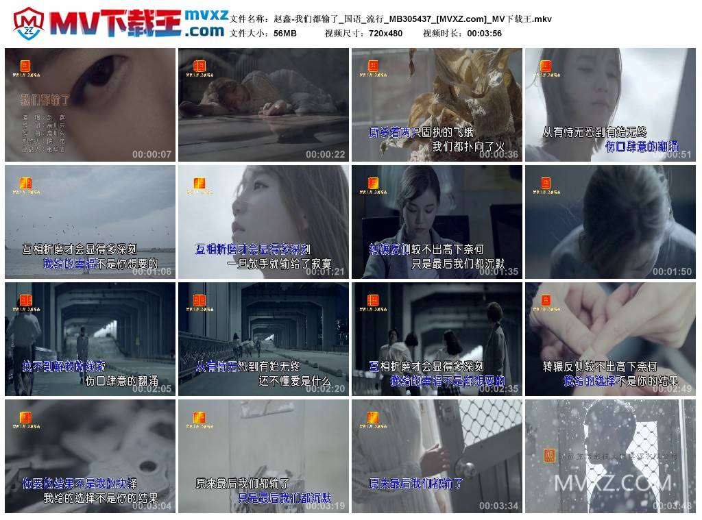 赵鑫-我们都输了_国语_流行_MB305437